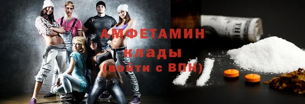 мет Алексин