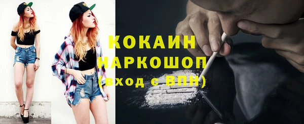 хмурый Алзамай