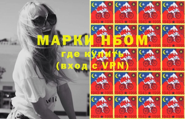 хмурый Алзамай