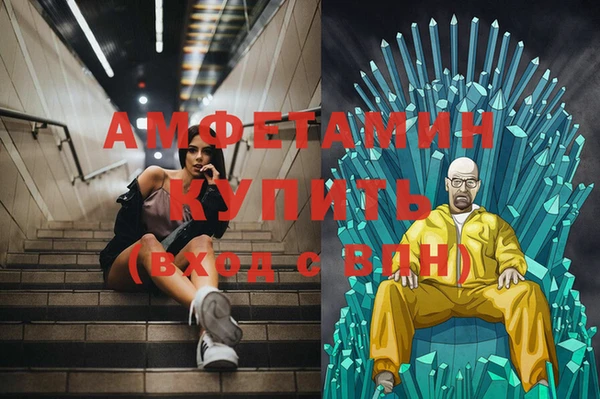 мет Алексин