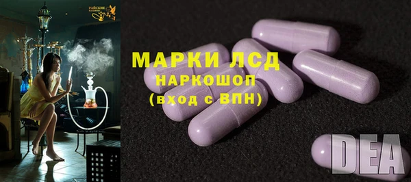 хмурый Алзамай