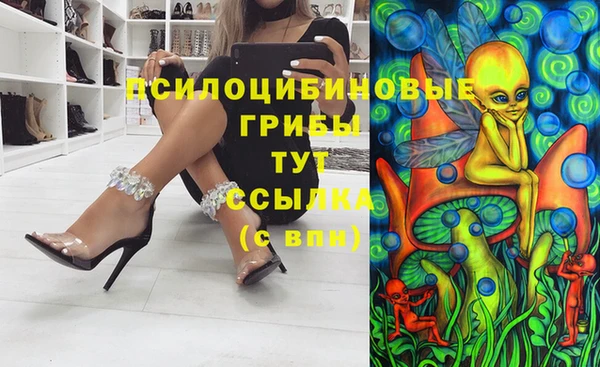 мет Алексин